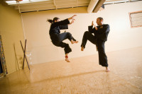 Pg133 Warrior Highkick