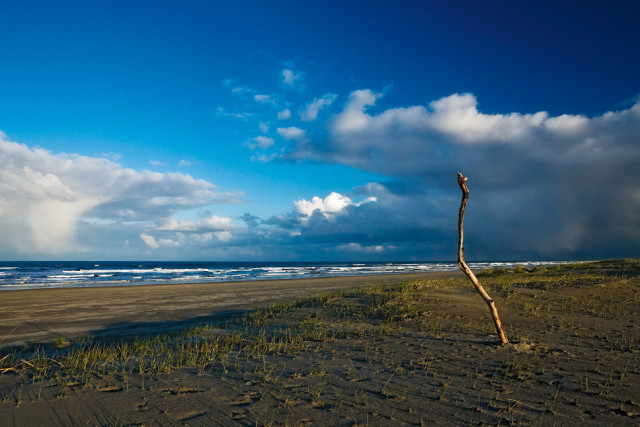 hidden coast leadbetter