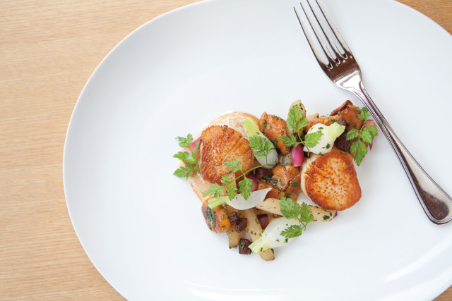 copperleaf scallops