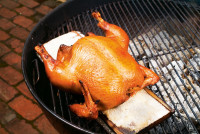 chicken