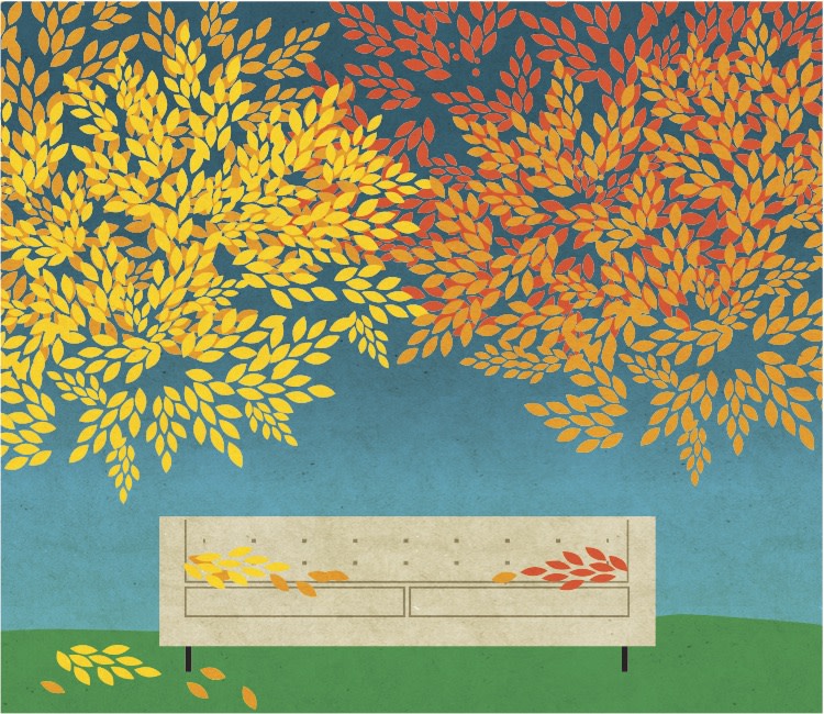 Ednote couch fvrn5l