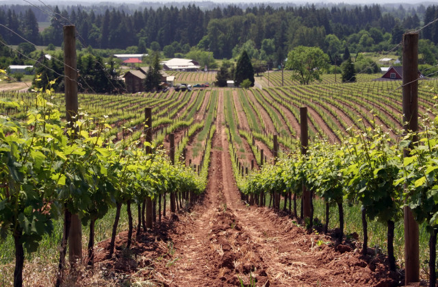 New tasting rooms in the Willamette Valley