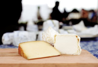 Scio cheese