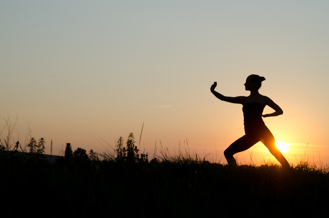 Body & Brain Yoga Tai Chi: A Beginner's Guide to Holistic Wellness