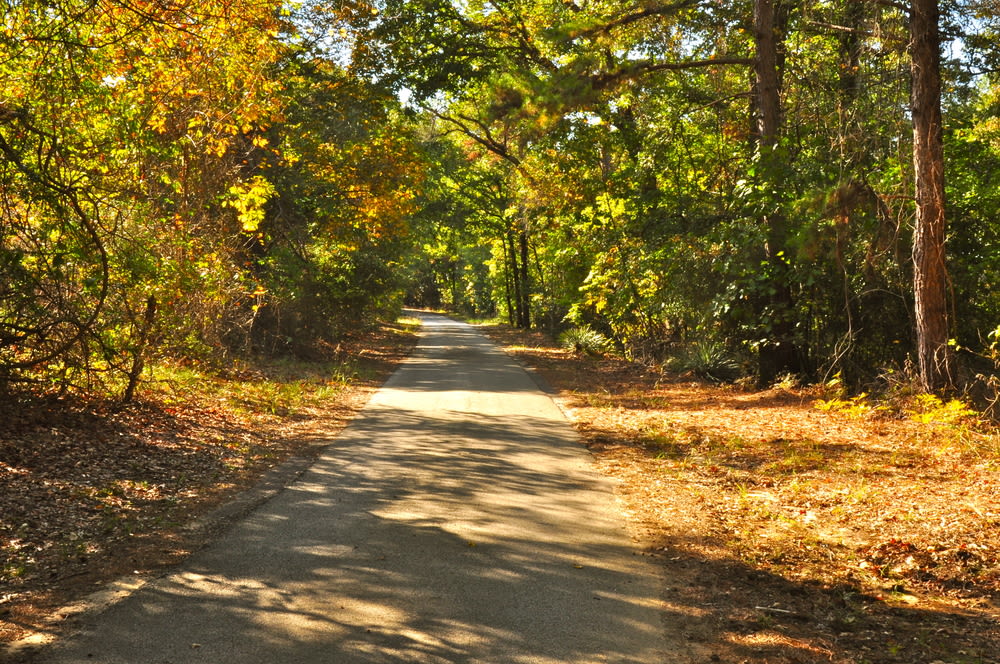 Shutterstock 63927415 gbi9tk