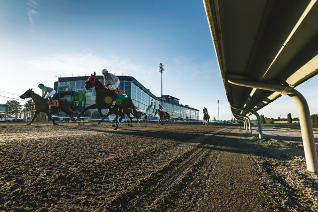 Portland Meadows