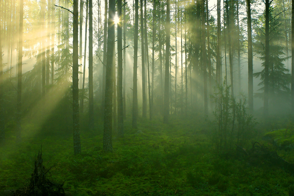 10 15 oregon songs timber pkbhwq