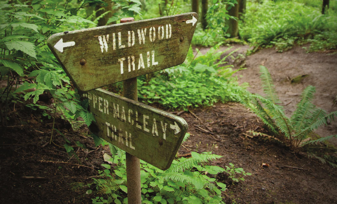 0116 wildwood trail odtfuj