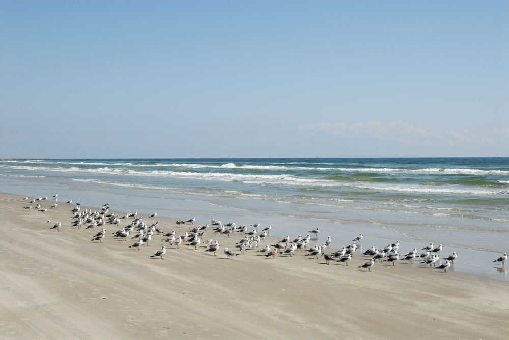 Four Texas Coastal Getaways Houstonia