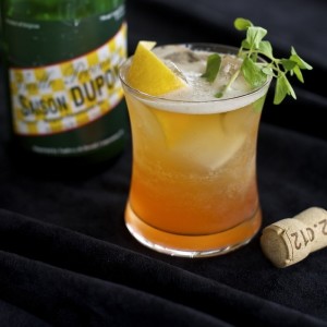 Beer and Loathing, a beer cocktail from the book.