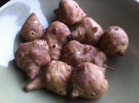 sunchokes raw form
