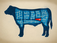 savor-bavette-steak