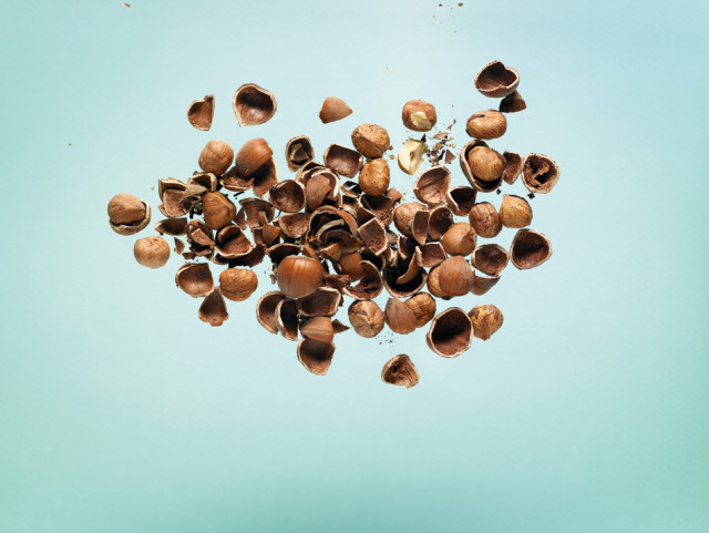 seeds3-0609