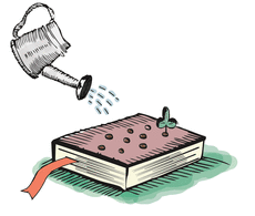 Watering can illustration