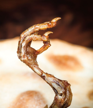 A bird claw perches atop the crust of Roosevelt's wood-pigeon pie.