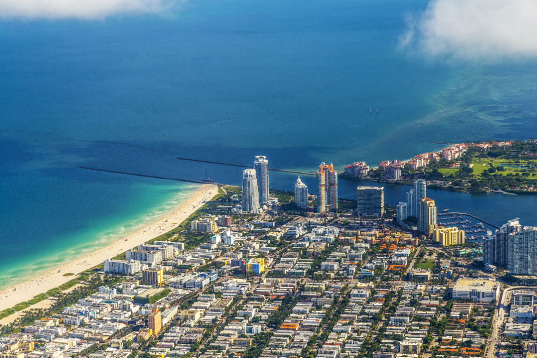 embracing the spectacle in south beach, florida