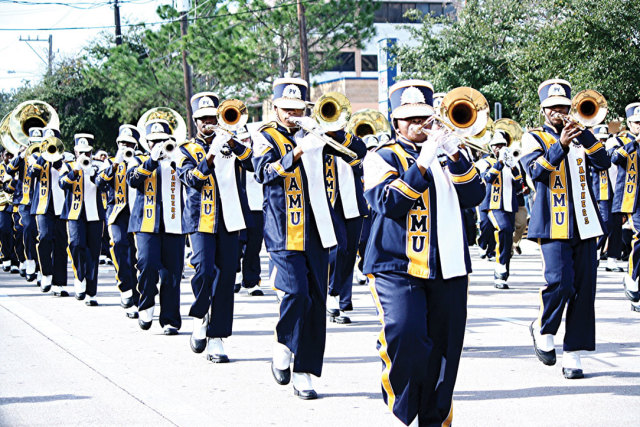 1215 reasons to love winter mlk grande parade marching band dd7imj