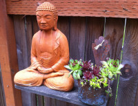 buddha and planter
