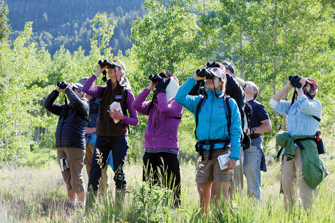 0515 aspen bird watchers s9ibvy
