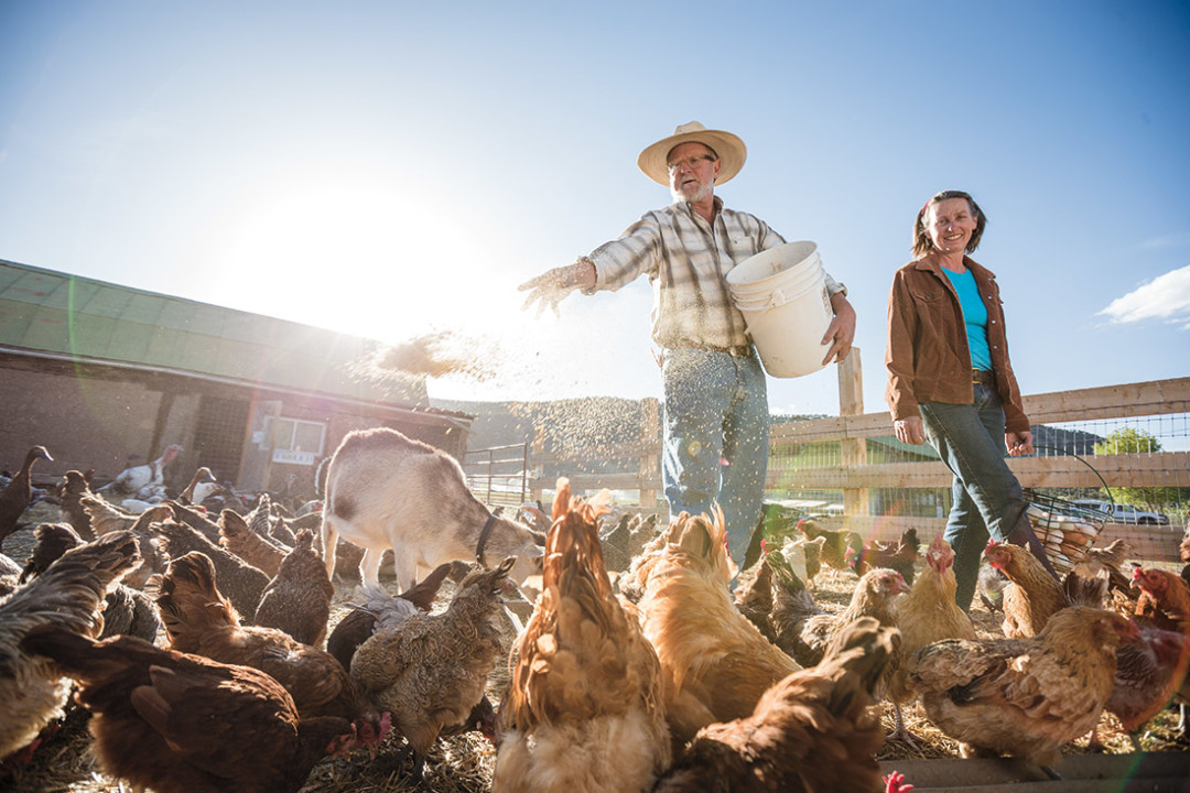 0714 valley farmers chicken farmers l1vhgi