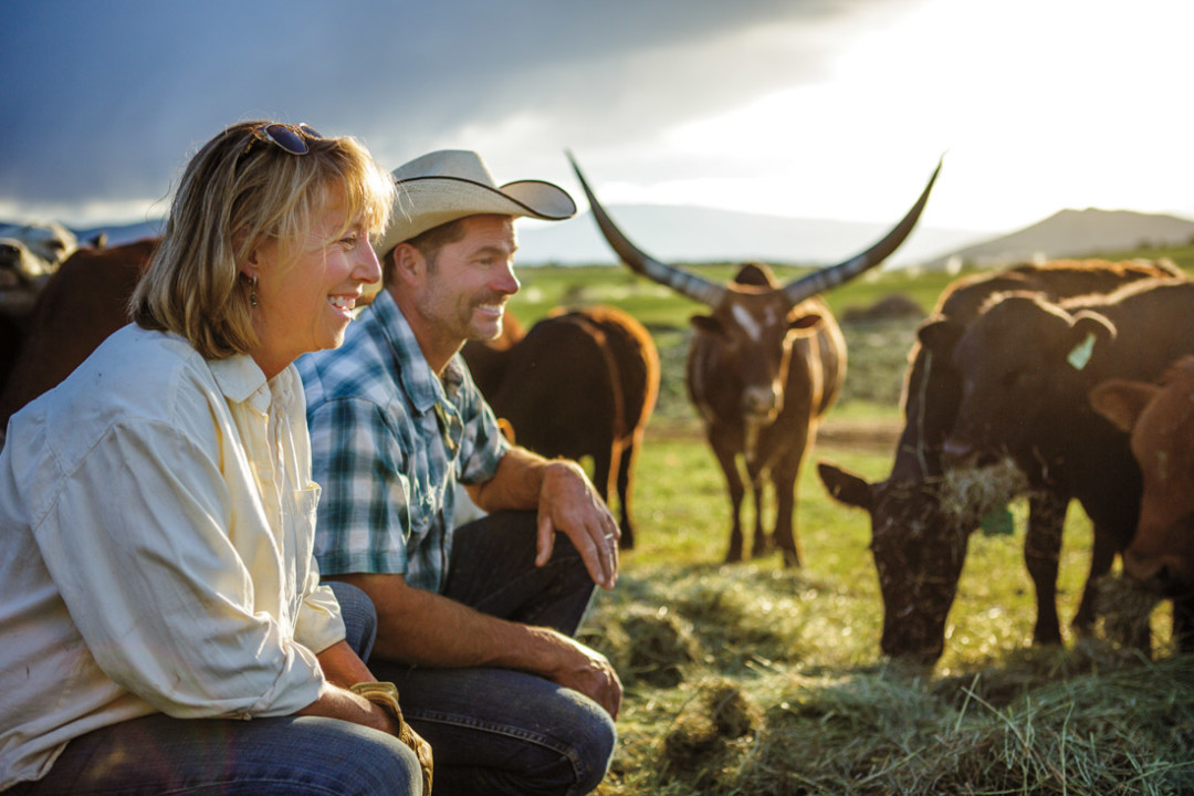 0714 valley farmers cattle cncvpl