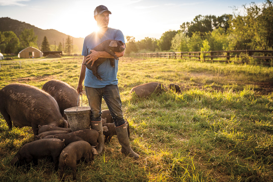 0714 valley farmers pig farmer gnmvye