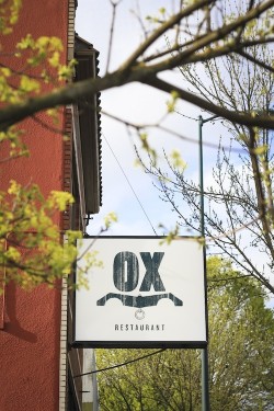 Allison Jones photo Portland of Ox