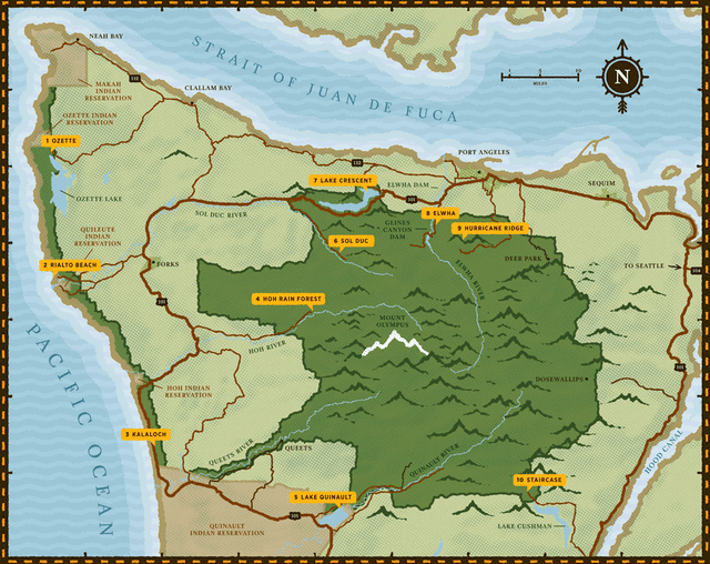 Insider S Guide To Olympic National Park 10 Top Places To
