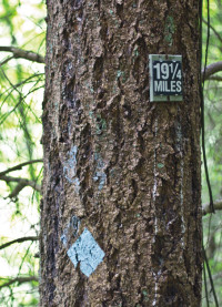 Forest Park Hike Marker