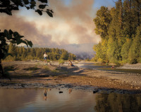 summer on the skokomish steve davis
