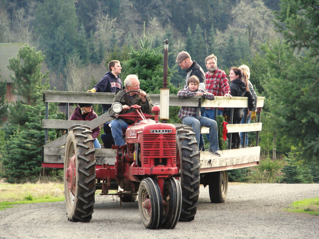 1015 christmas tree farm jkusyd