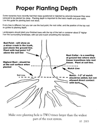 FOT planting depth diagram