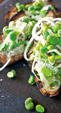 fava-beans-with-bruschetta