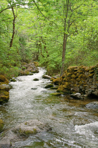 lithia park