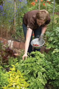 gardening-0710