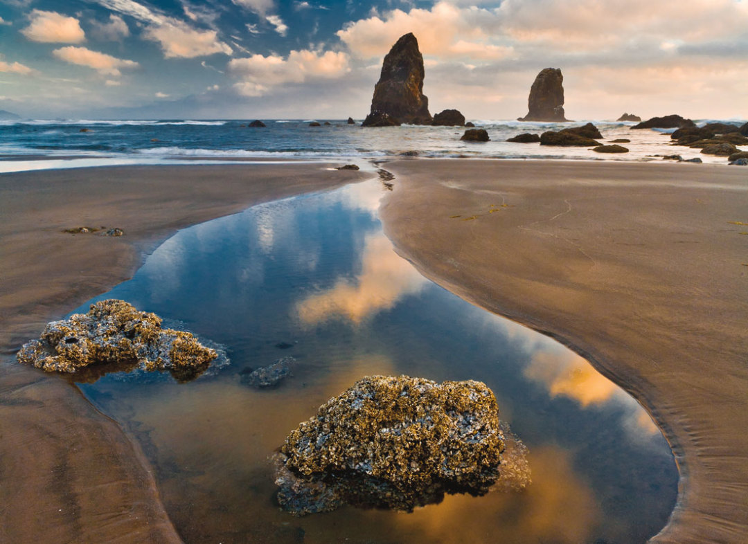 0116 cannon beach e1v7nu