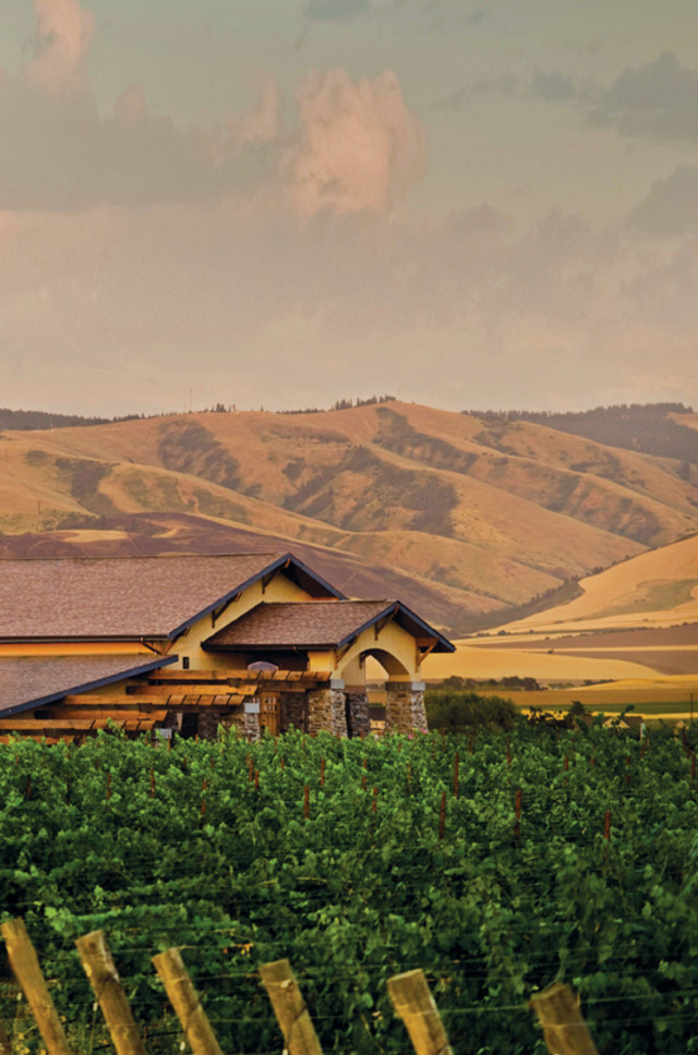 10 Top Winery Visits Seattle Met