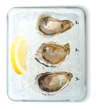 Oysters