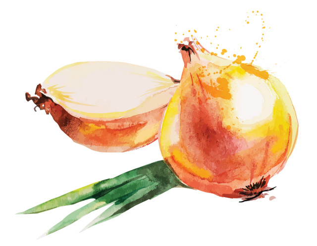 0915 onion e18t0a