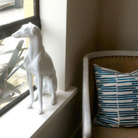 Dog at Loot