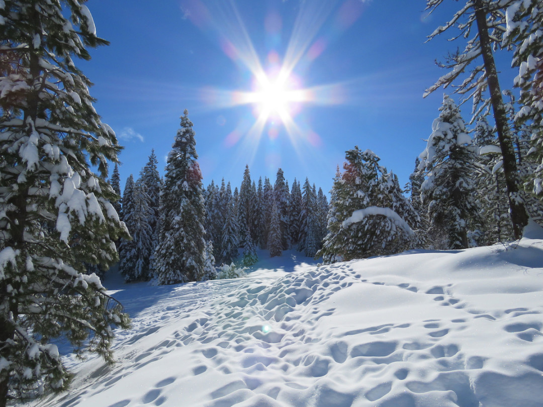 Table mountain winter play area zqcbjq