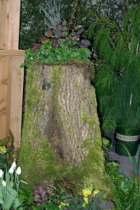 YGP Stump