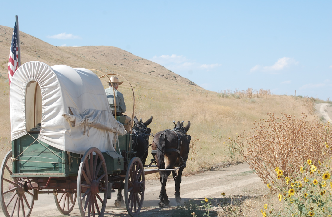 On the Oregon Trail: A Classic Western