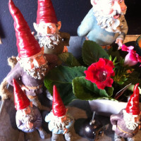 Digs gnomes