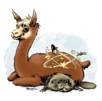 alpaca
