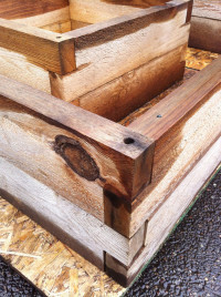 Oregon Trellis raised beds