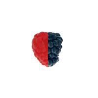 mud berry