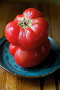 savor tomatoes
