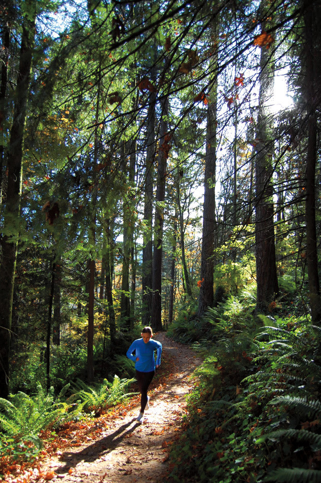 wildwood trail runner