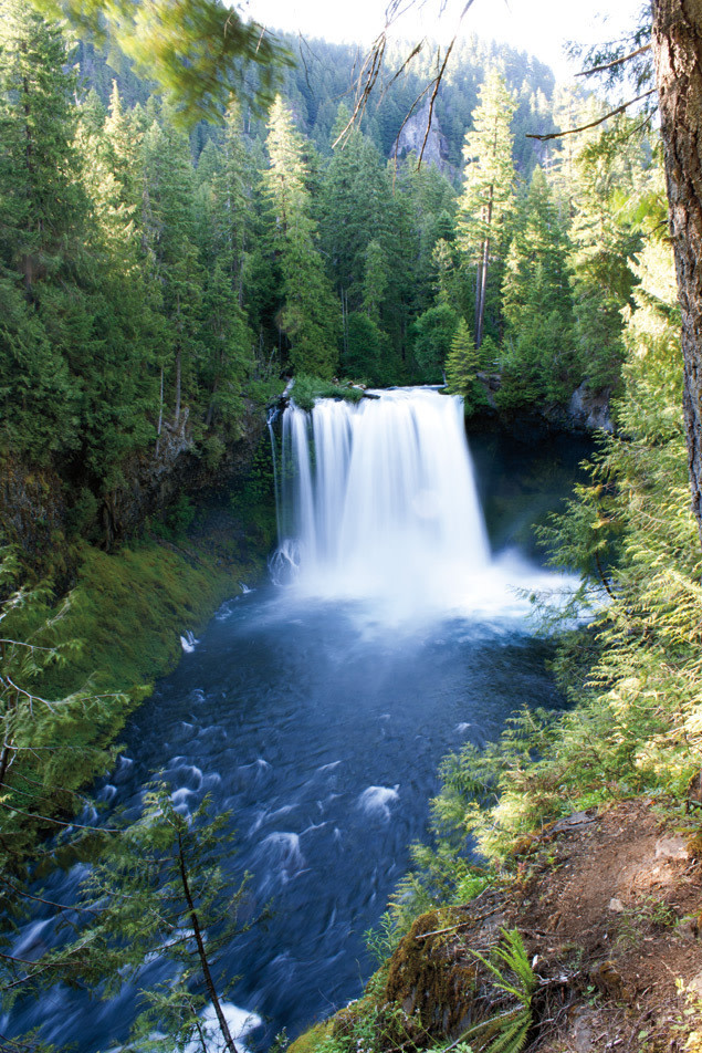 Koosah falls vhoame